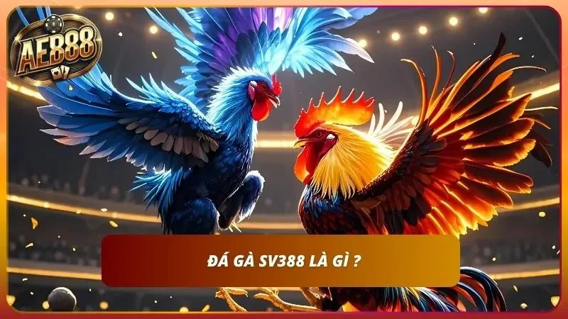 Hai chiến kê trong ảnh giới thiệu đá gà SV388 tại AE888